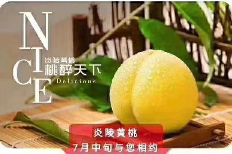 炎陵锦绣黄桃