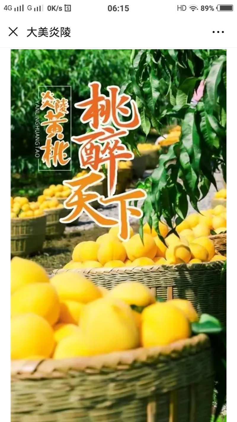 炎陵锦绣黄桃