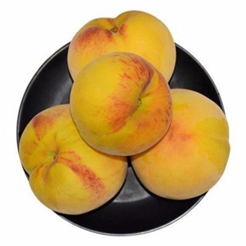 5斤黄桃子新鲜当季应季水果酸甜黄金桃水蜜桃现