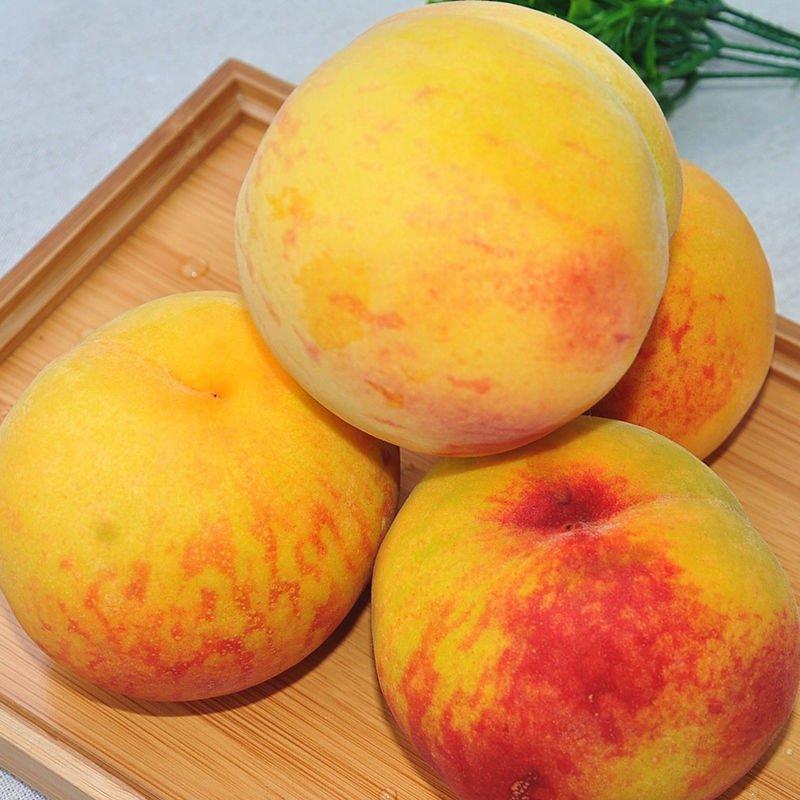 山东黄桃5斤黄桃子新鲜当季应季水果酸甜黄金桃水蜜桃现