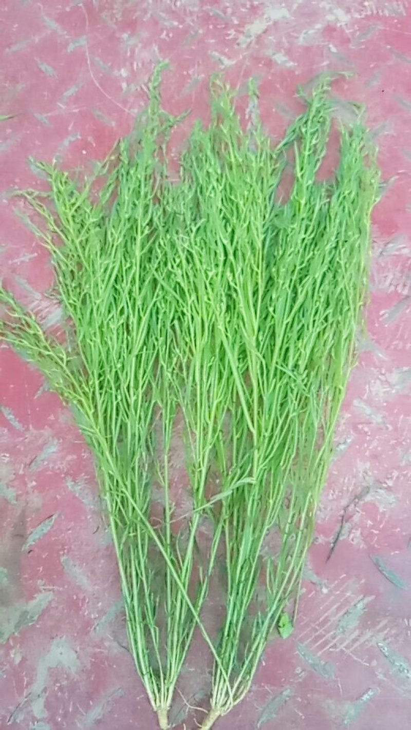 百蕊草(干货野生，带有沫子的通货)