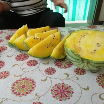 小兰西瓜