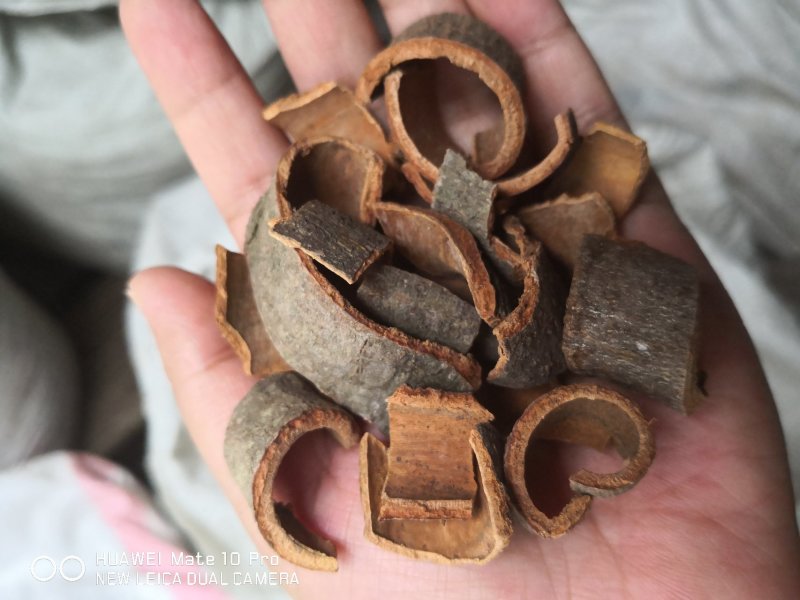 肉桂广西干货无硫药食两用各种规格量大从优