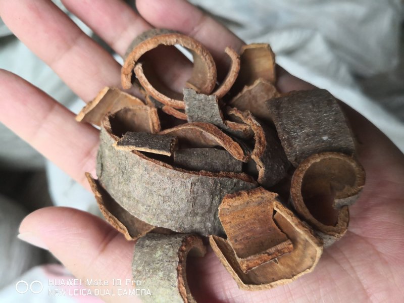 肉桂广西干货无硫药食两用各种规格量大从优