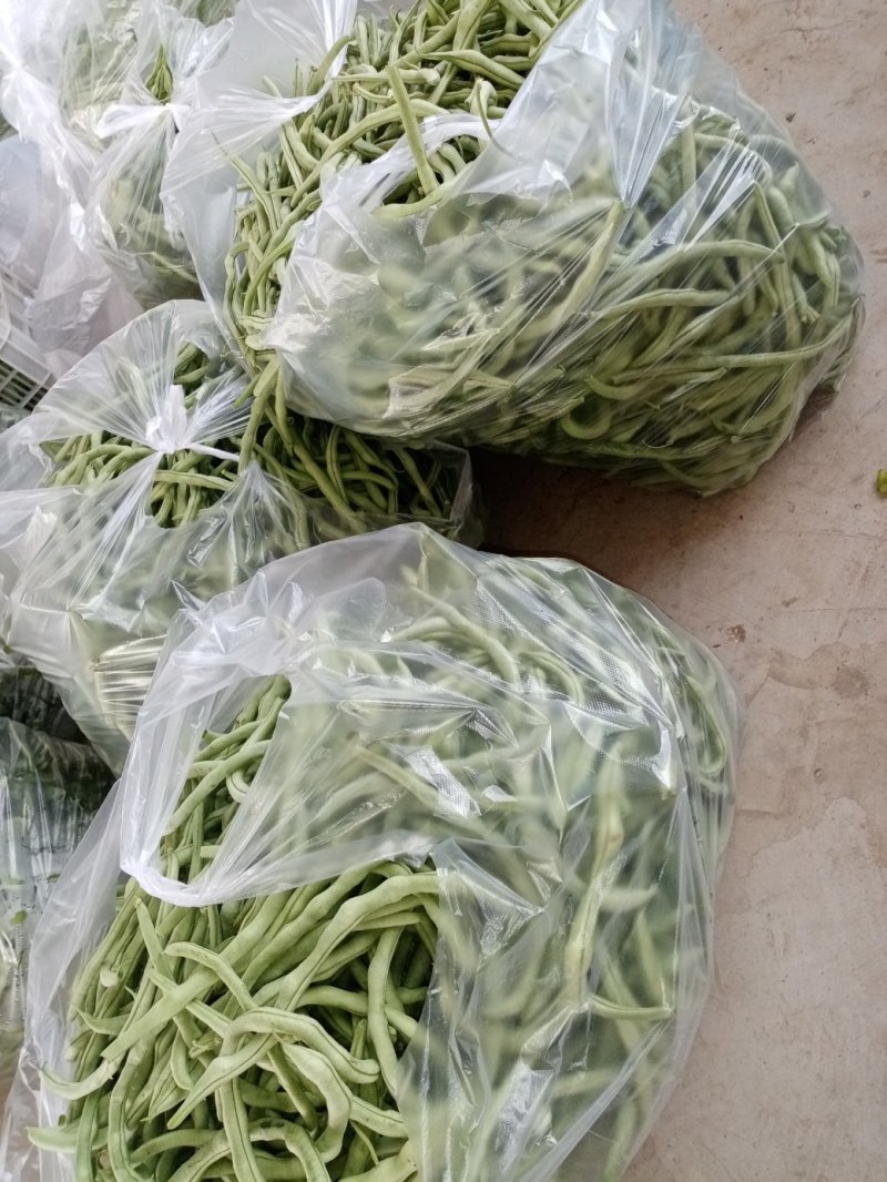 无丝豆！