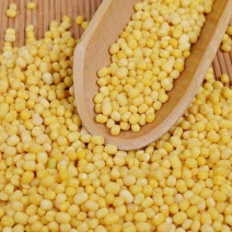 脱皮绿豆瓣，绿豆仁，糕点，食品馅料可用！各种档次可供参考