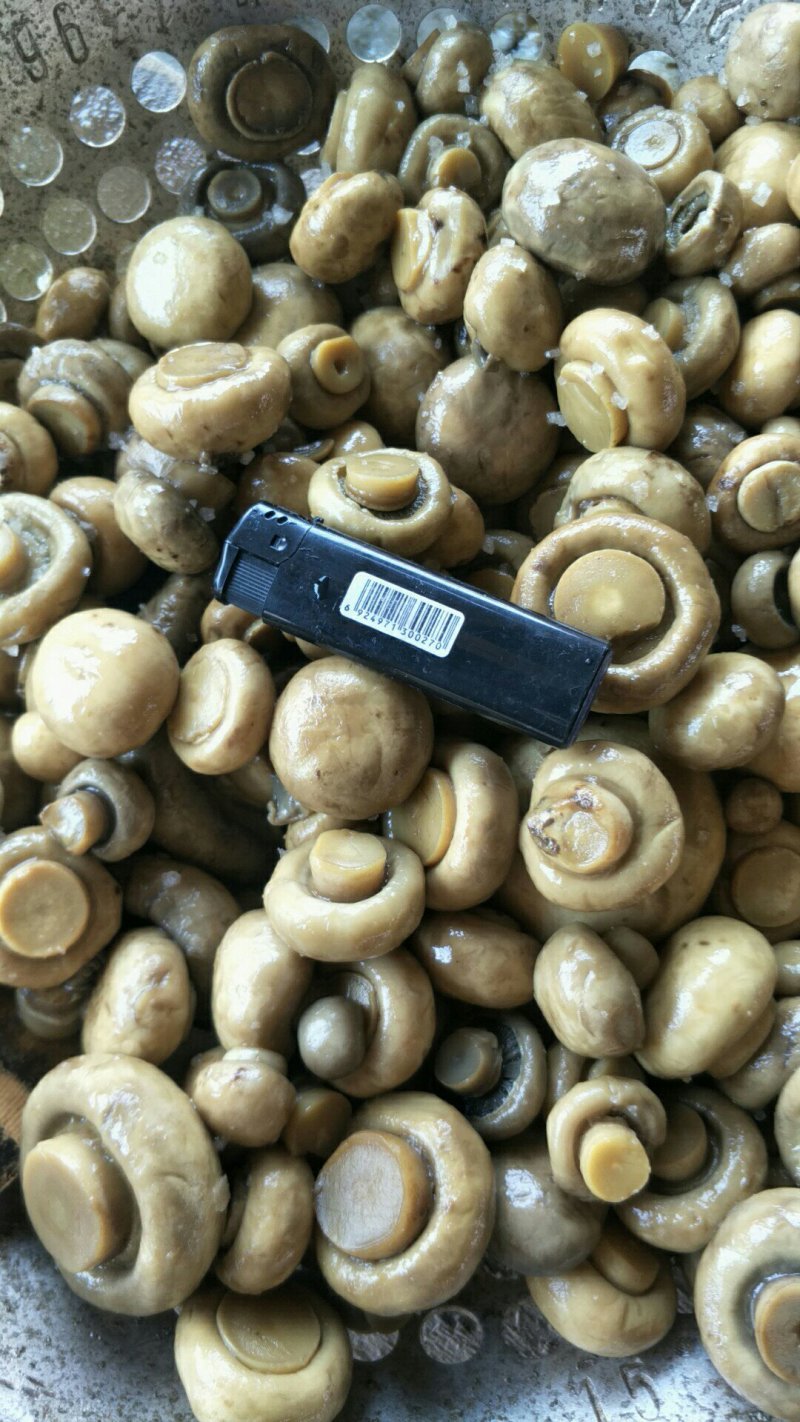 盐水双孢菇