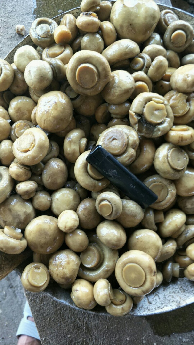 盐水双孢菇