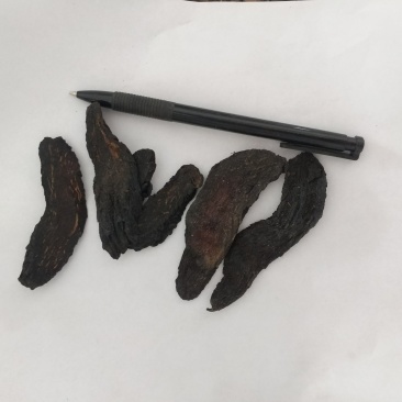 振兴药材批发供应肉苁蓉片规格齐全产地直供一手货源全国发货