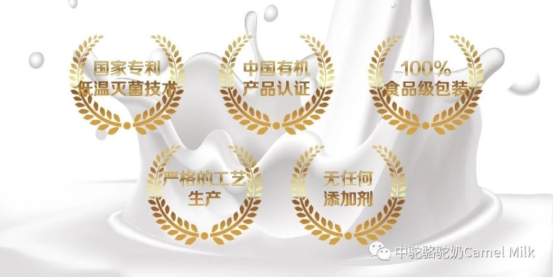 中驼纯驼奶奶粉买4送一坚持喝效果好无糖需一盒联系店主