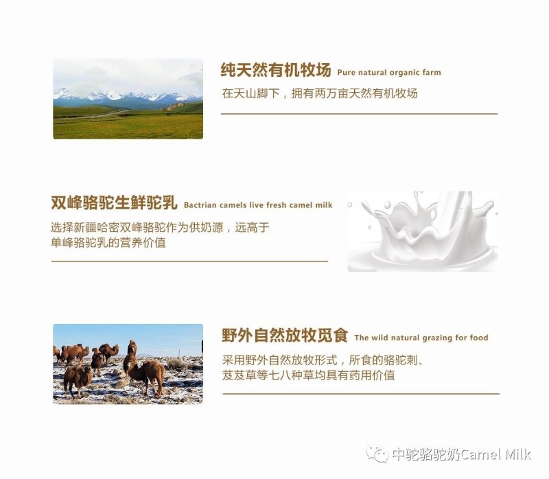 好品质好中驼纯鲜驼奶坚持喝效果好买4送一只需一盒联系店主