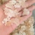 3A雪燕拉丝雪燕10斤包邮