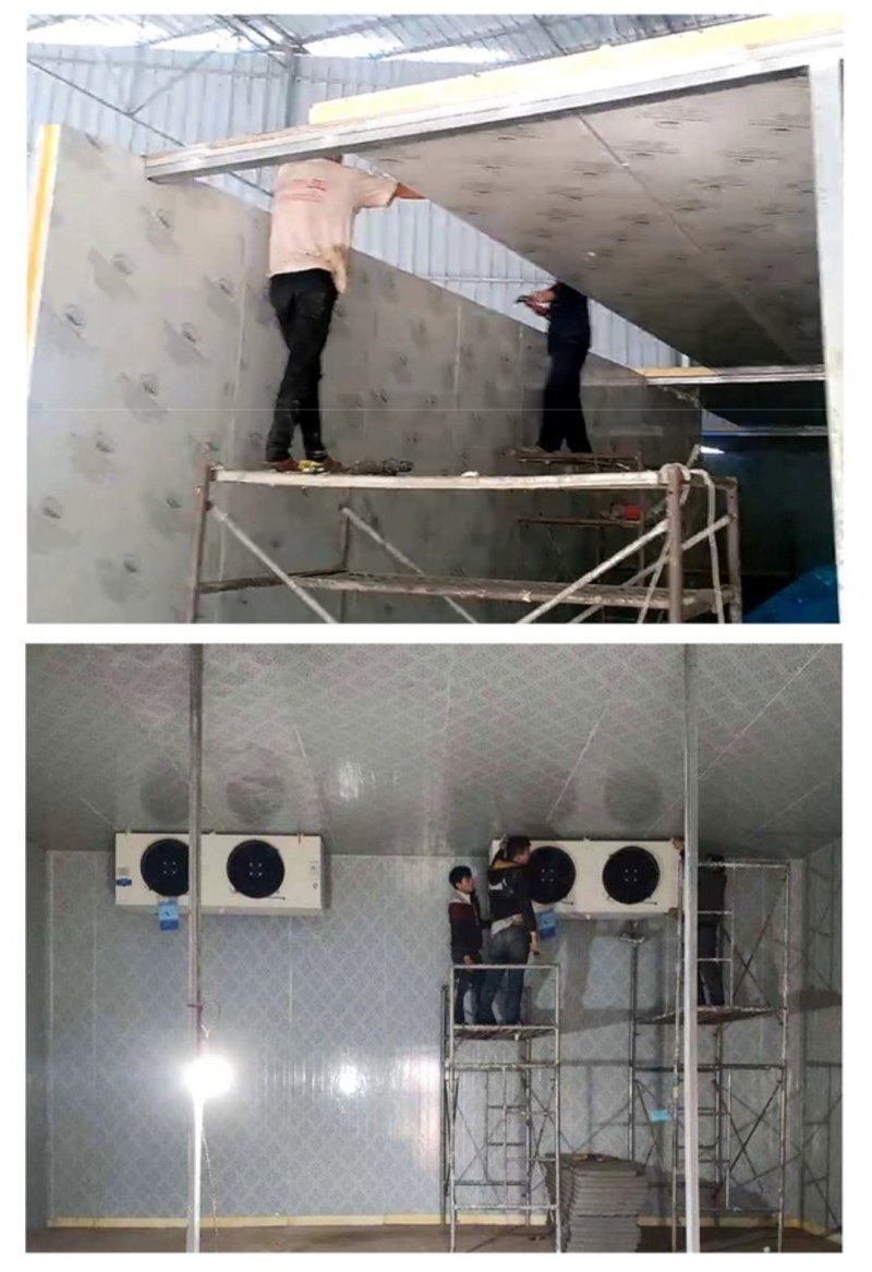 冷库安装建造冷库设备材料批发零售