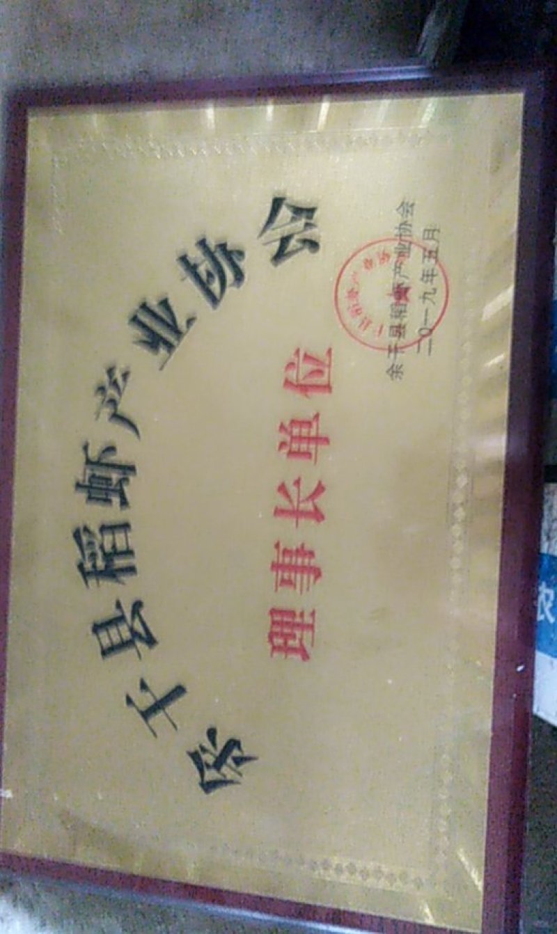 克氏原螯虾小龙虾主养食用活虾10~12钱