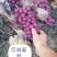 洛阳万亩葡萄基地巨峰葡萄，口感好，量大价格美丽