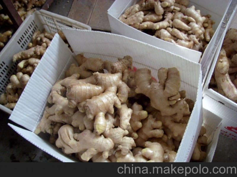安丘大姜常年对外供应，欢迎新老客户洽谈！