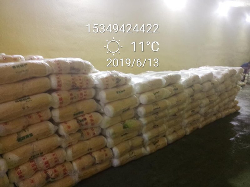 黄心白菜大量上市，质美价廉，欢迎全国客商前来选购