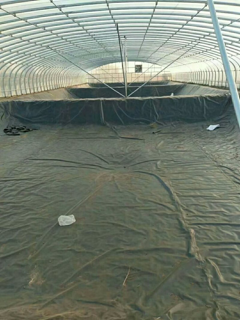 养殖专用膜生产基地养殖专业防渗膜：0.3～1.5
