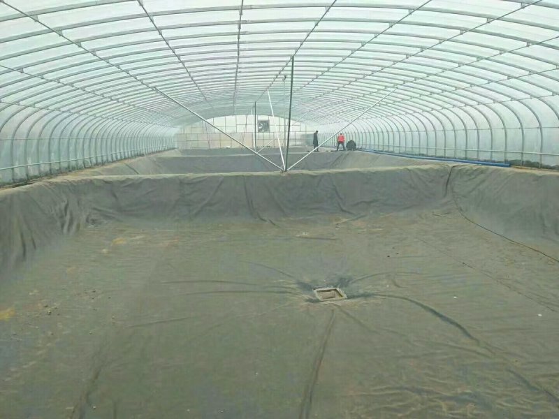 养殖专用膜生产基地养殖专业防渗膜：0.3～1.5