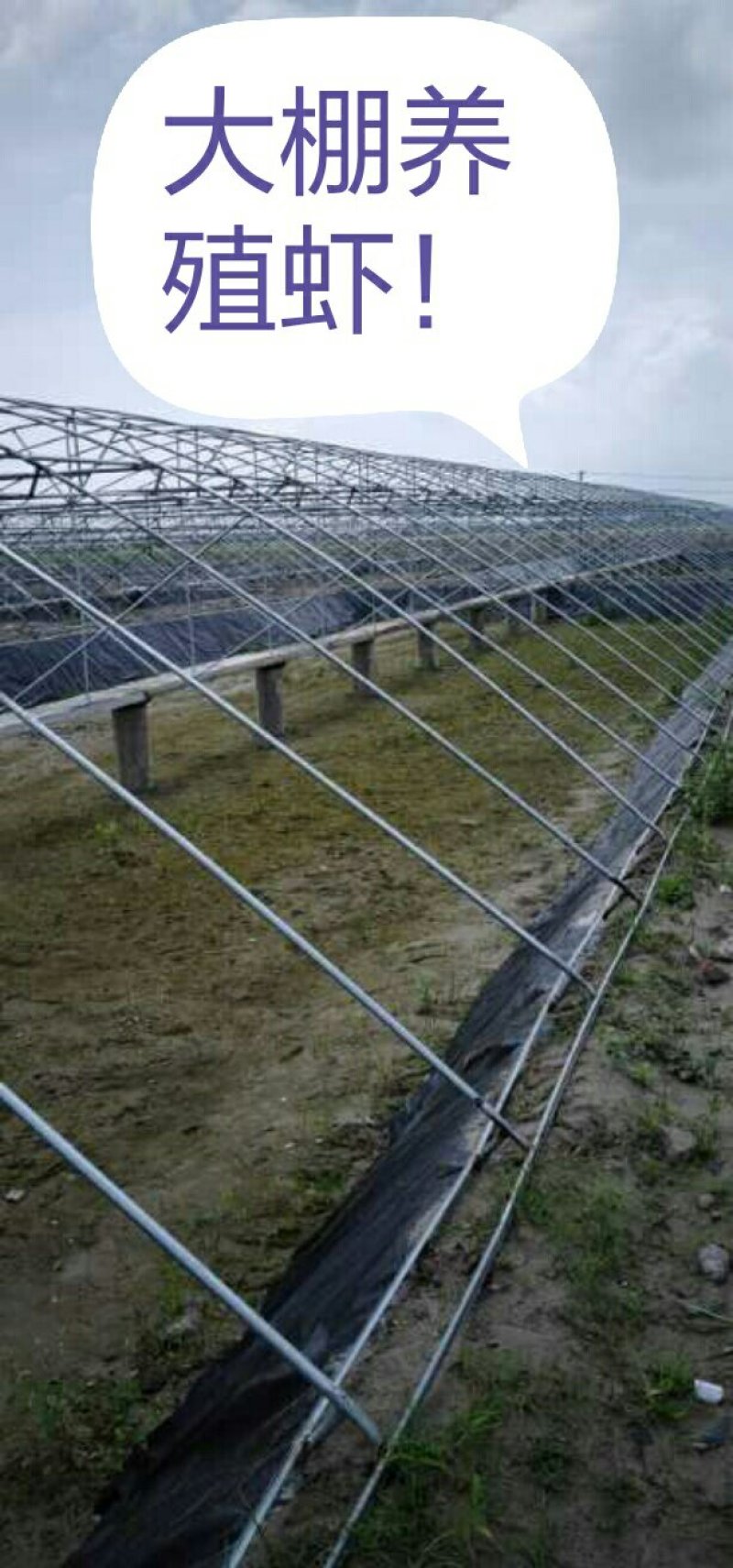 养殖专用膜生产基地养殖专业防渗膜：0.3～1.5