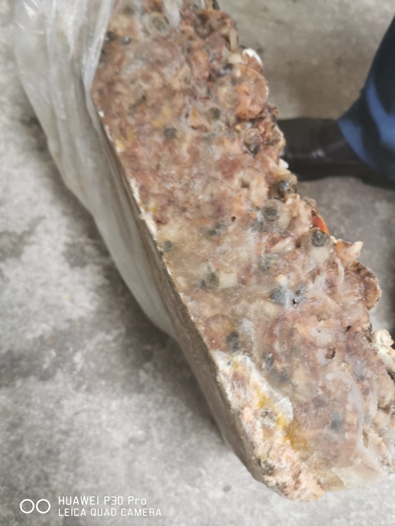 虾饲料扇贝边