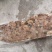 虾饲料扇贝边