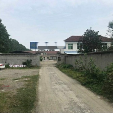 出售或出租沙洋30亩养殖场