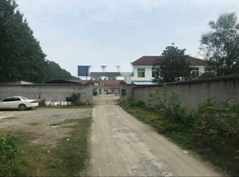 出售或出租沙洋30亩养殖场