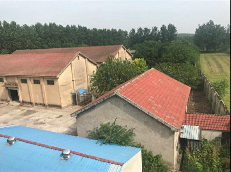 出售或出租沙洋30亩养殖场