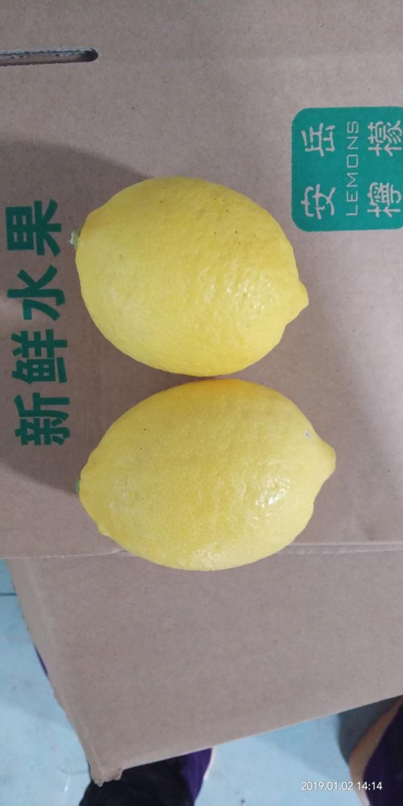 精品一级黄柠檬中，大果批发一件代发产地直供全年供