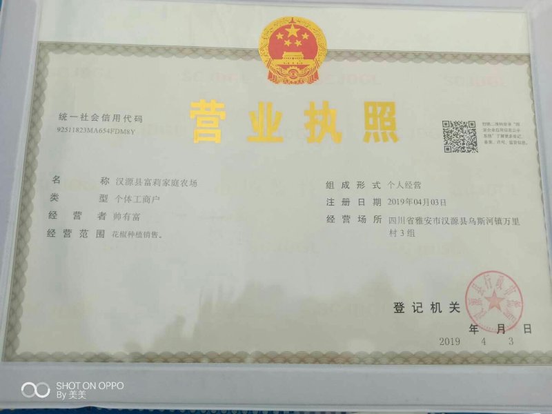 汉源贡椒苗，根细发达，抗病能力好，3年挂果产量很好。
