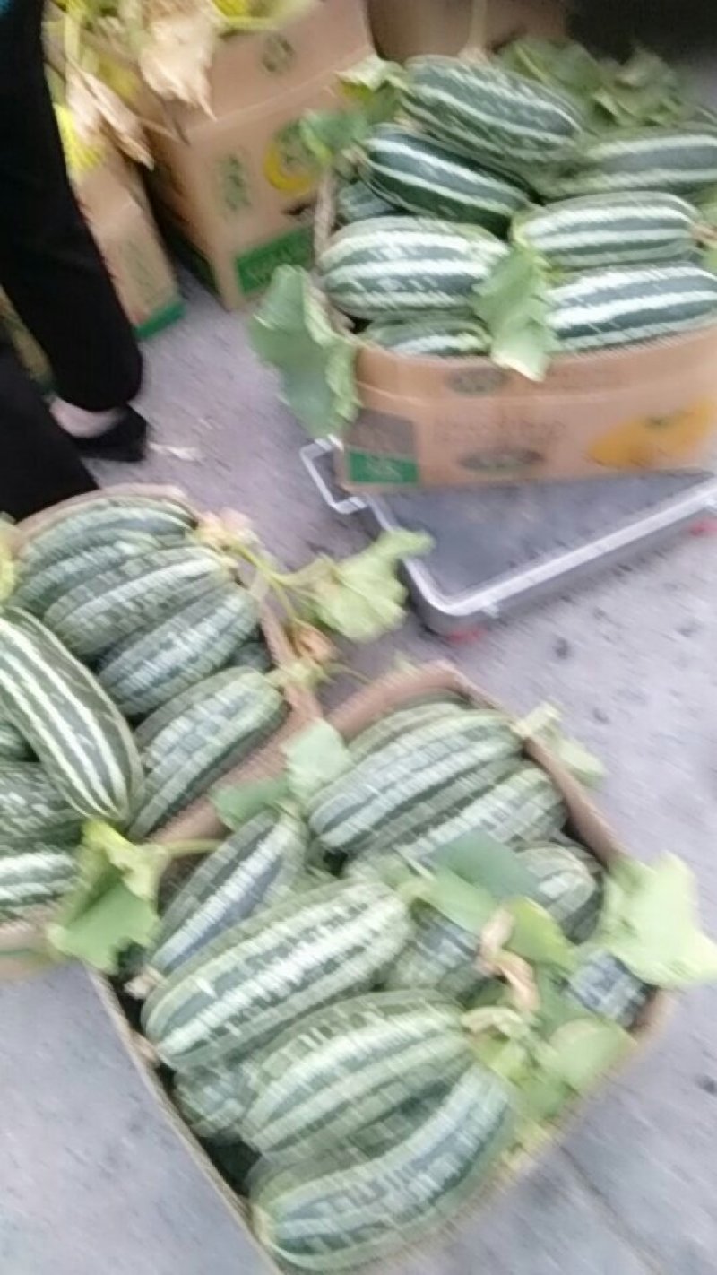 瓜果类