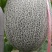 西州蜜甜瓜，小蜜二十五3斤以上长圆形，货源充足，