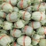西州蜜25甜度高，皮薄，耐运输，3-6斤个头均价优