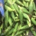 万亩万糯188白玉米，超市，电商订单生产