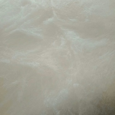 蚕丝、干蚕茧