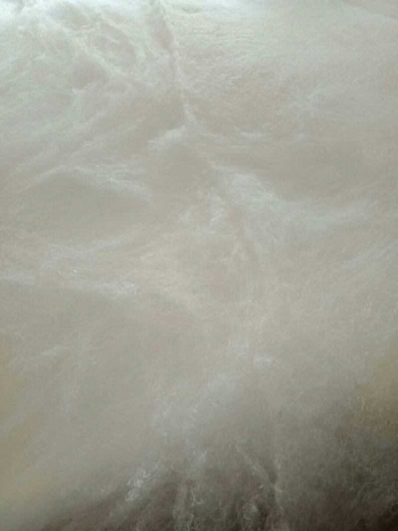 蚕丝、干蚕茧