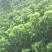 蚕丝、干蚕茧