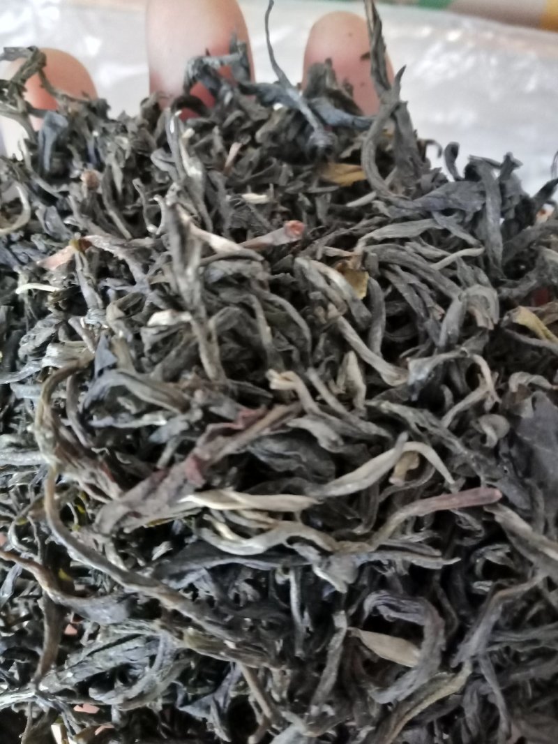 普洱茶