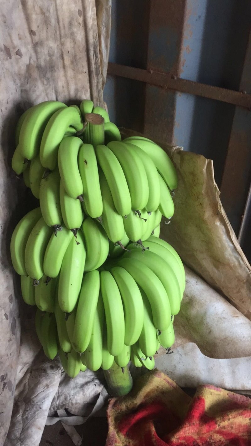 香蕉
