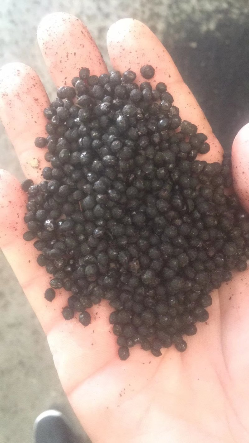 花椒籽，禽料牛羊料厂家出货，长年大量供应