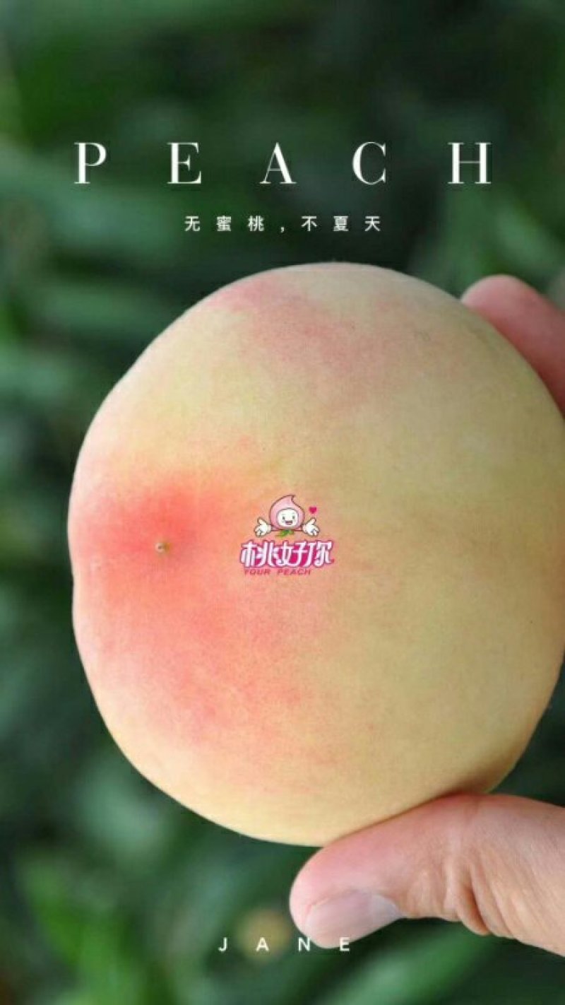 阳山水蜜桃