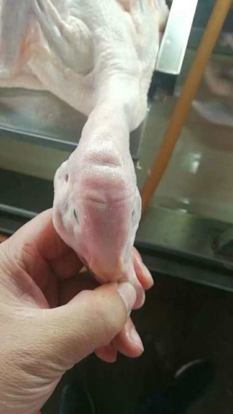 竹泉村白条鸭