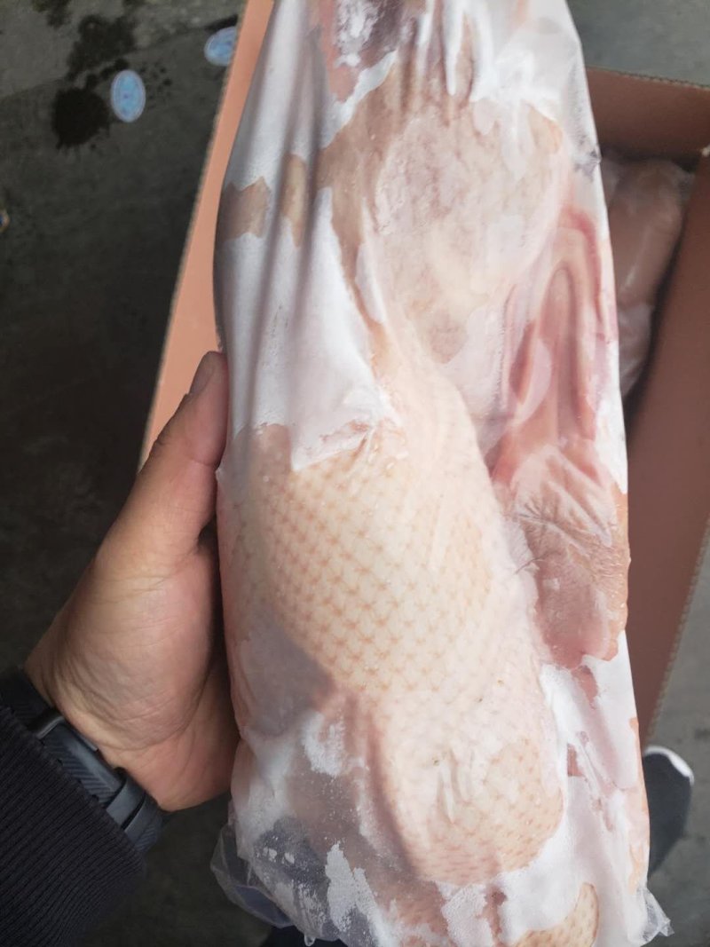竹泉村白条鸭