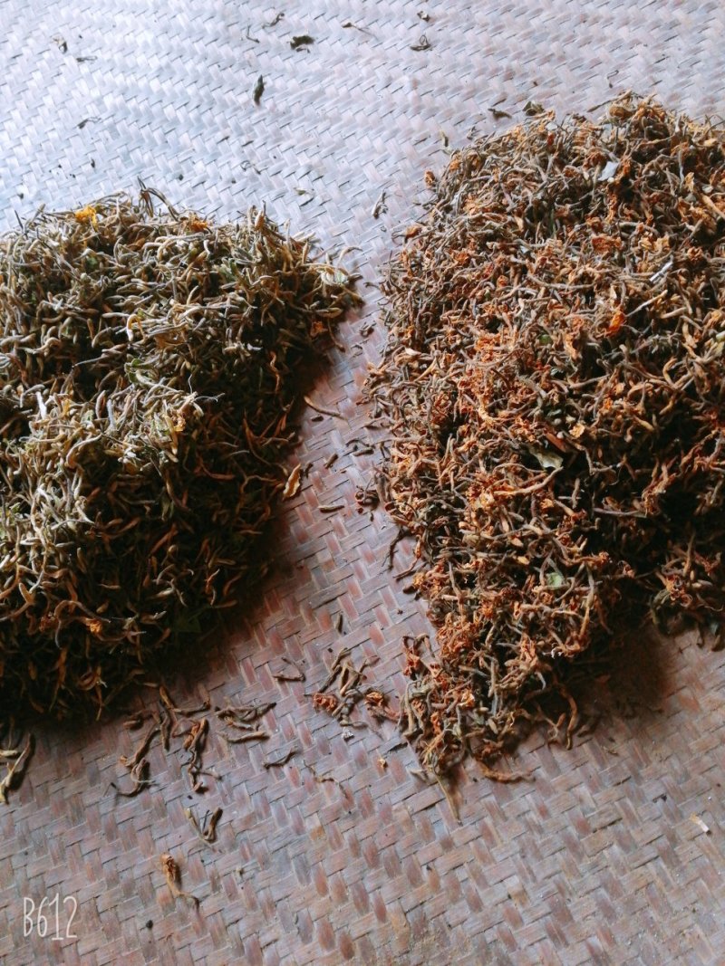 恩施野生金银花