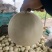 河南东方蜜2号，红玉2号红金蜜甜瓜，万亩大棚基龚垒代办