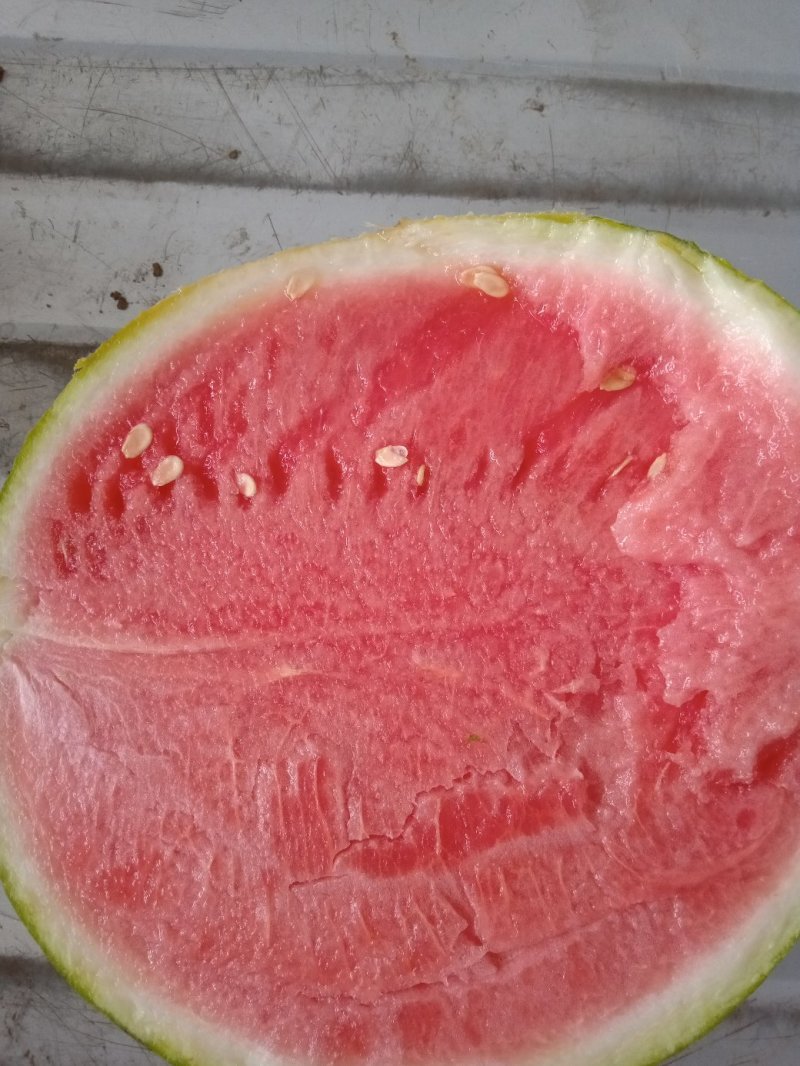 8424头茬无籽尾货