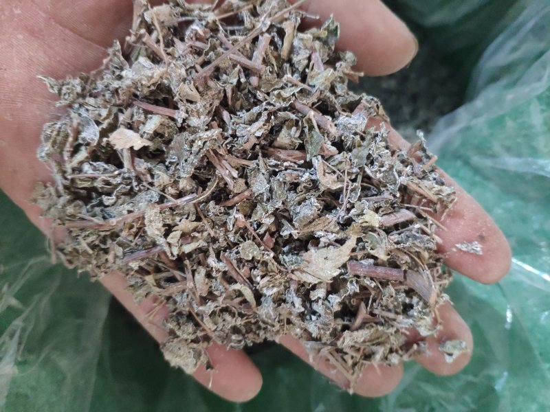 冷背药材药王茶金路梅代抓各种药方