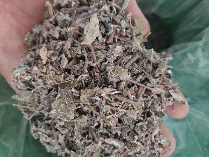 冷背药材药王茶金路梅代抓各种药方