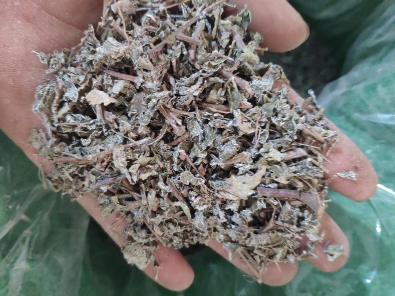 冷背药材药王茶金路梅代抓各种药方